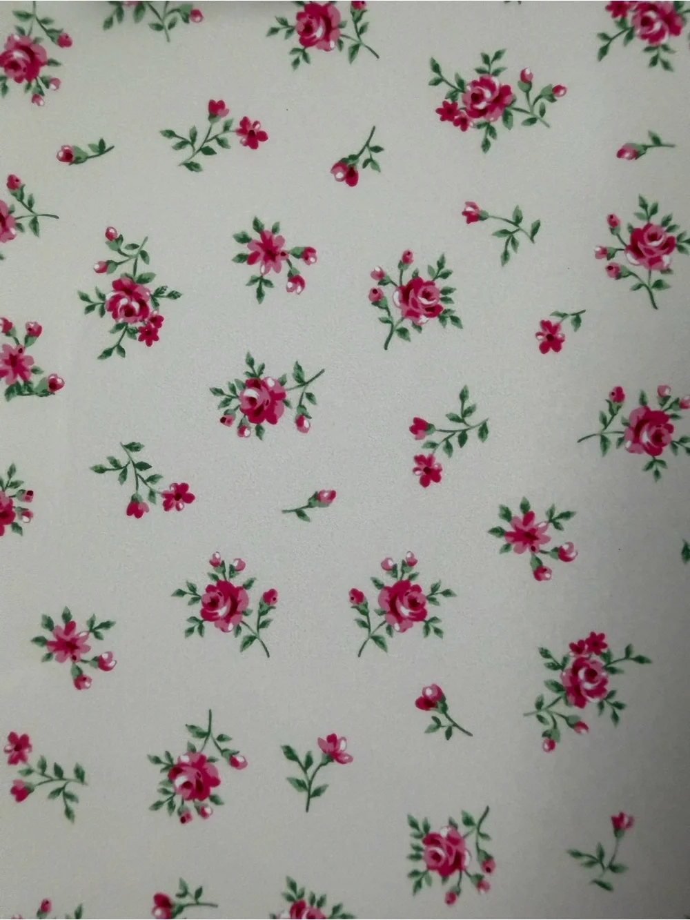 BURGA iPhone 15 Case Lot of 2 NEW Floral Roses + Deer Gingham w/ Pouches